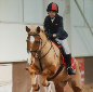 Equestrian team win at Championships