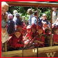 Lodge Trip to Cotswold Wildlife Park